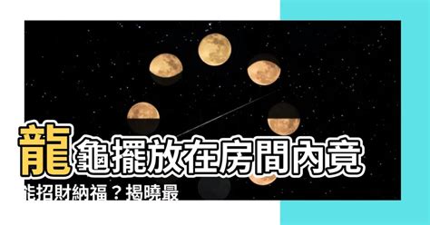 龍龜可以放房間嗎|【龍龜可以放房間嗎】龍龜鎮宅：完整破解功效、擺放、禁忌一次。